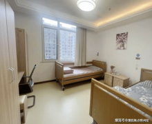 机构开设书法、绘妙手机操做等20门“银龄大学”